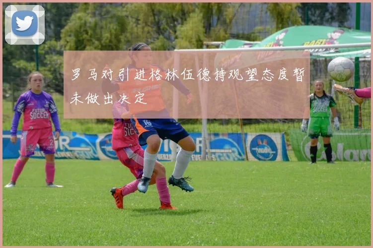 罗马对引进格林伍德持观望态度暂未做出决定